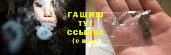 сатива Армянск